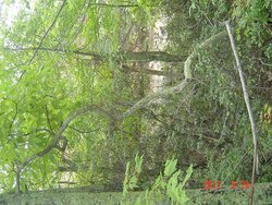 DSC01049.JPG