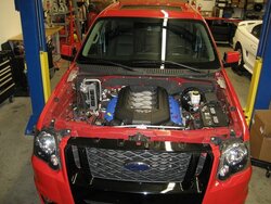coyote test fit.jpg