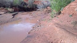 2013-05-07_09-22-37_626.jpg