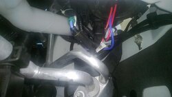 WP_20130706_001.jpg