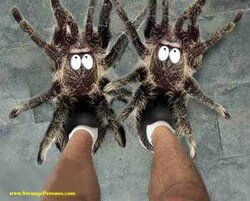 spider slippers.jpg