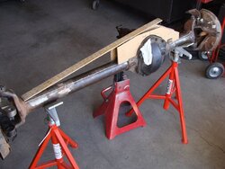 m_DSC09573.jpg