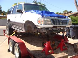 m_DSC09604.jpg
