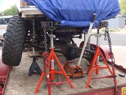 m_DSC09765.jpg