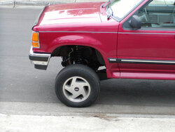 dora-front-lifted.jpg