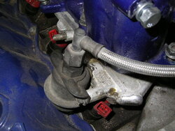 PICT0033.JPG