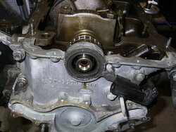 PICT0008.JPG