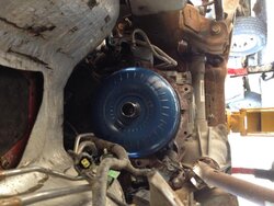 IMG_4261[1].jpg