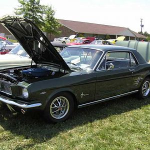 Black 66 Mustang