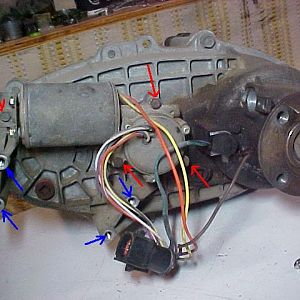 Tcase17B