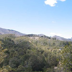 Carr Canyon AZ