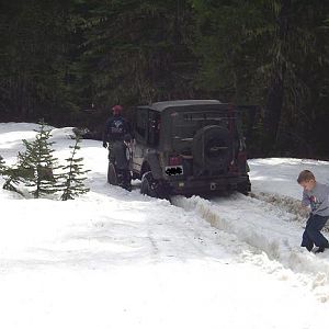 3-Stuck_Timber_Tamer