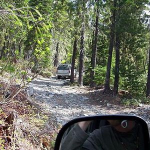 1-Albino_going_up_301_fortune_creek_