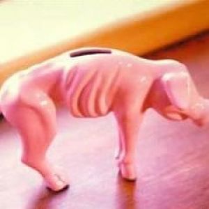 piggy_bank