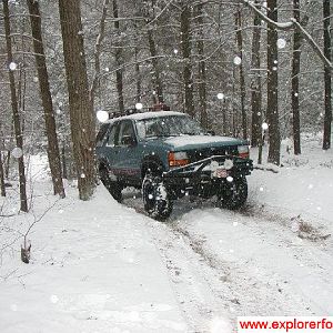 GWNF January 2002