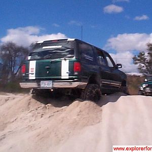 sandhill