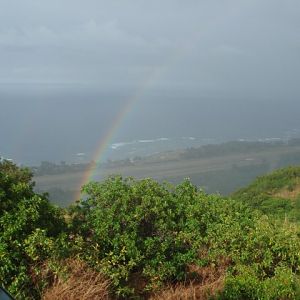 flats_view_3_rainbow1