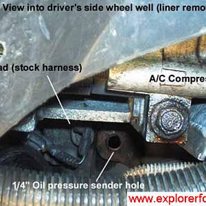 Oil Pressure Sender: Block Hole