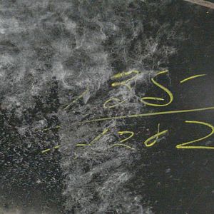 261