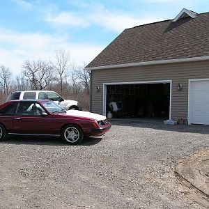'83 Mustang-pic1