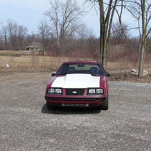 '83 Mustang-pic2