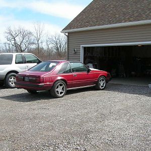 '83 Mustang-pic3