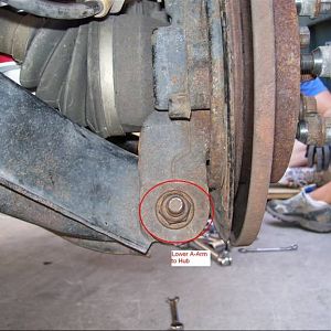 rear knuckle to lower a-arm bolt