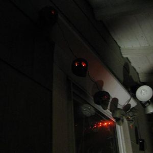 Halloween 2010