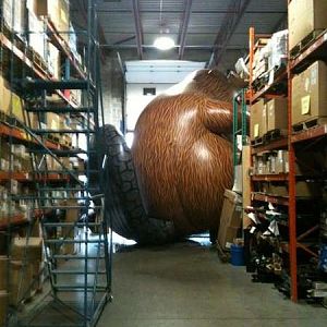 beaver
