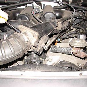 Replacement - Thermostat 2000 4.0L SOHC V6