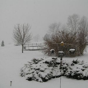 Dec_2012_snow