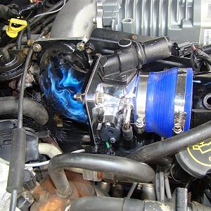DSC04446_Medium_
