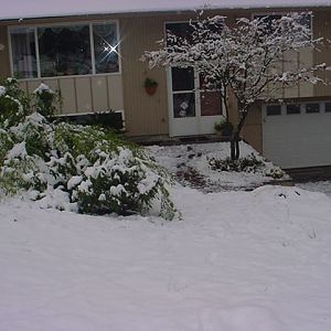 Snow