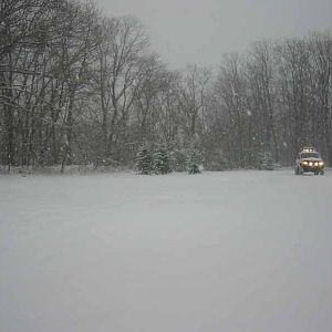 snow pics