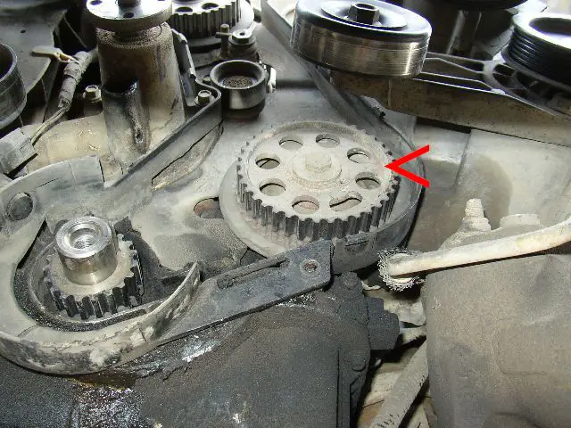 2.3L Timing Belt