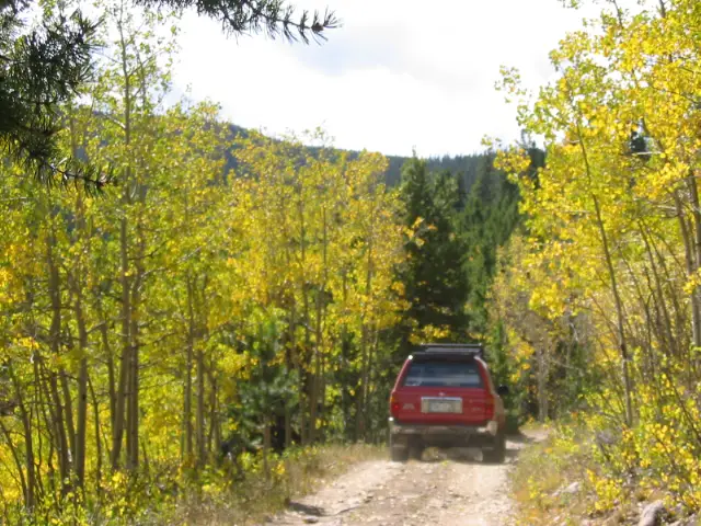 Aspen changing