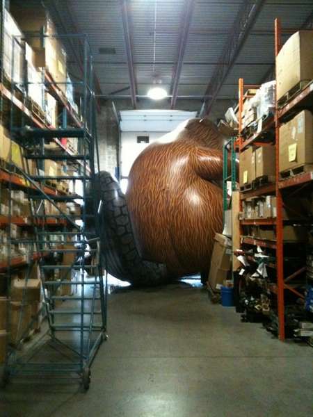 beaver