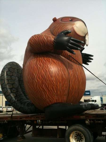 beaver2