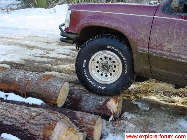 Climbed a log.