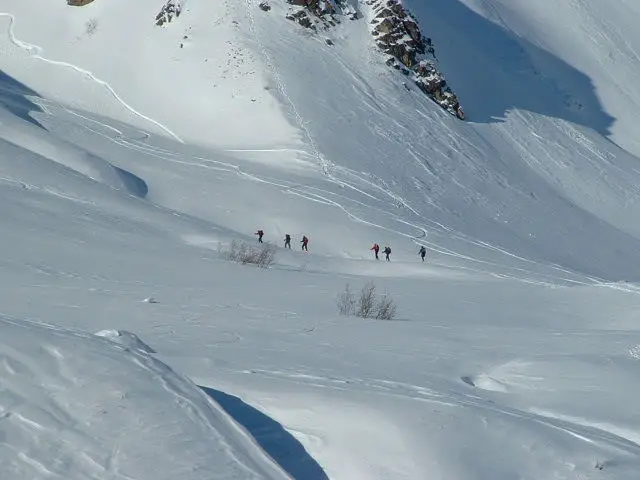 close up of snow shoers