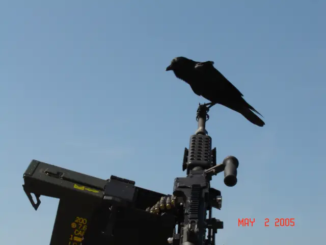 DSC00425