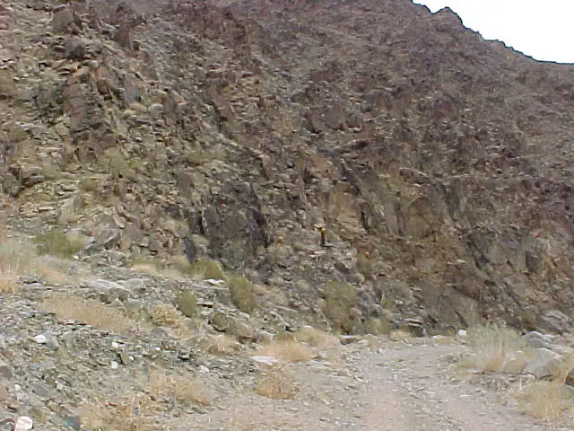 dv009f