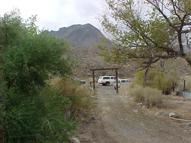 dv015f
