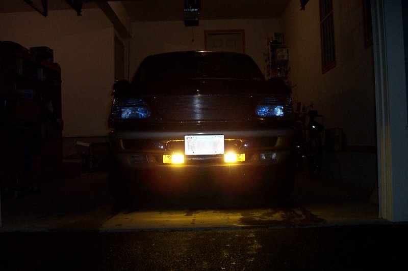 fogs
