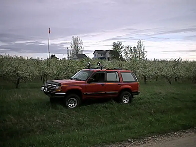 In the Orchard