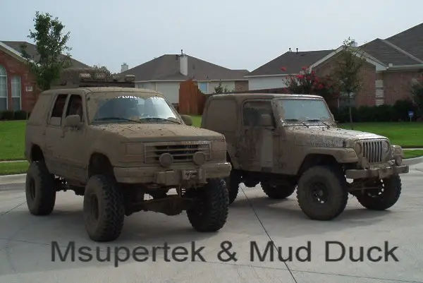 mudduck