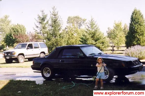 mustang