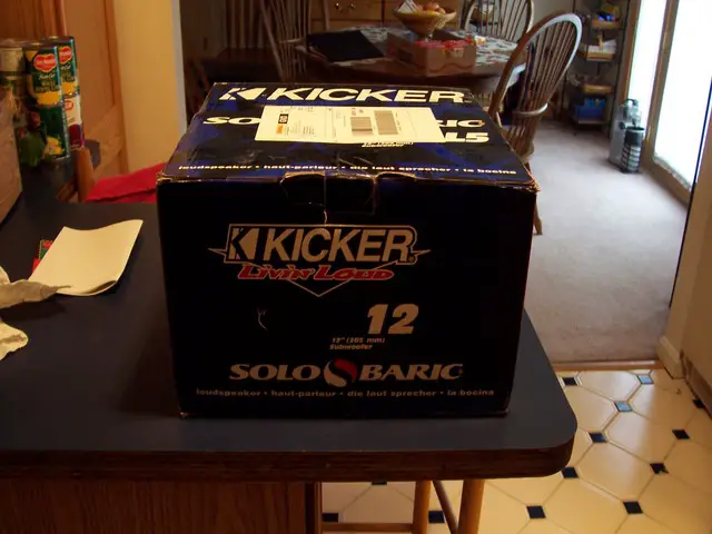 New 12" L5 Kicker.
