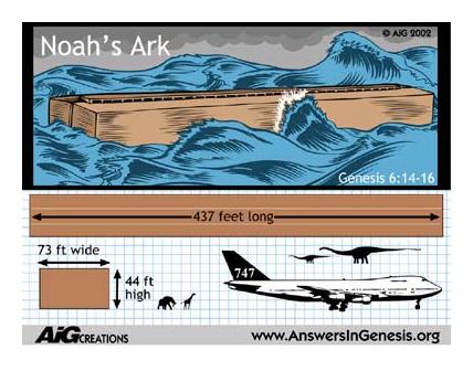 Noah's Ark Comparison