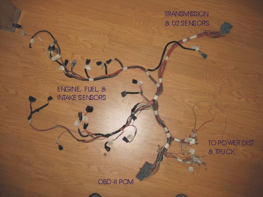 OBD II Harness